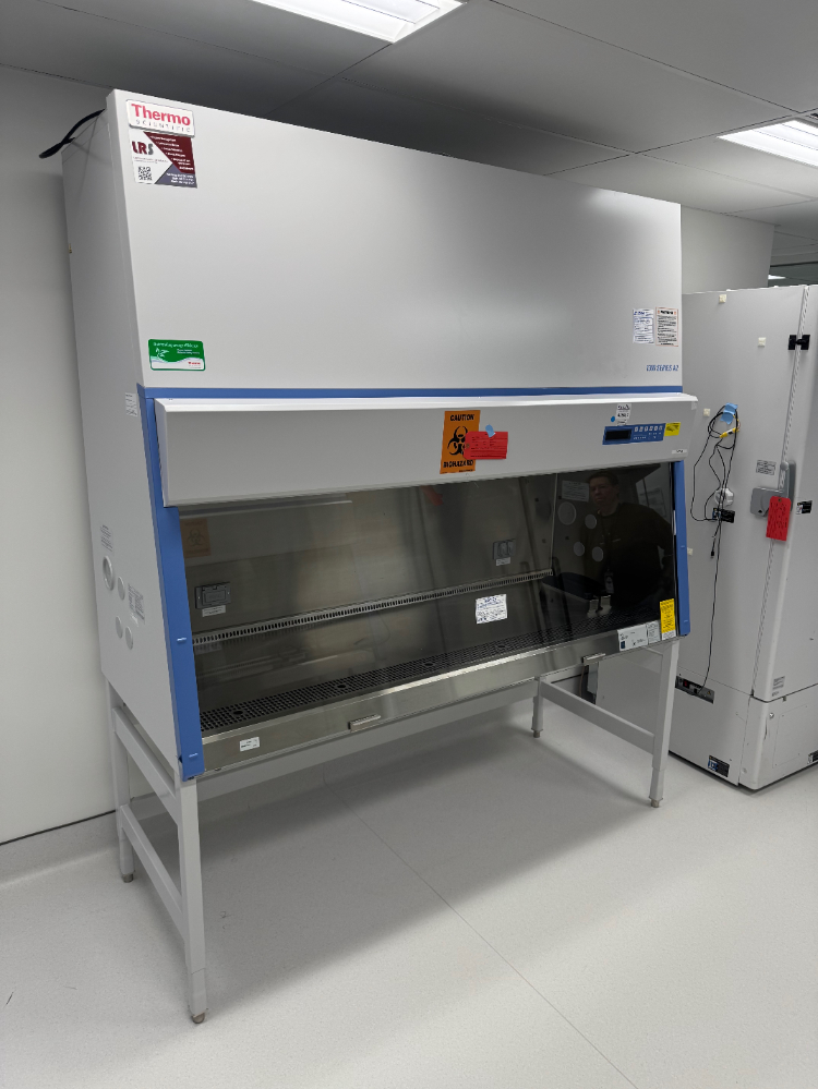 Image of THermo 1300 Series A2 6' BioSafety Cabinert